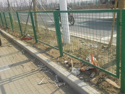 安徽蚌埠黃山大道綠化隔離項目 安徽蚌埠黃山大道綠化隔離項目