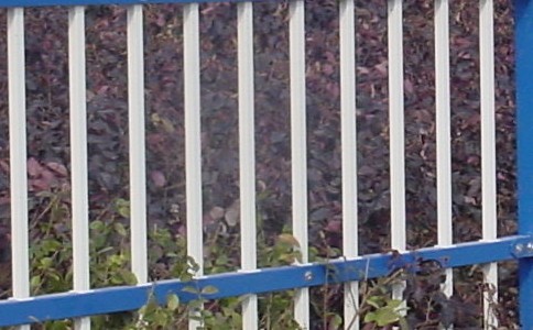 1385603142_374065523.jpg 1385603142_374065523.jpg